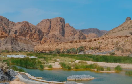 Ur turkesako putzuak eta landaredia mendi gorrixkaz inguratutako wadi batean, Omanen